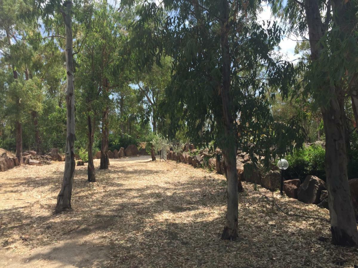 Sa Domo De Mannoi Su Catreathu Villa Orosei Luaran gambar